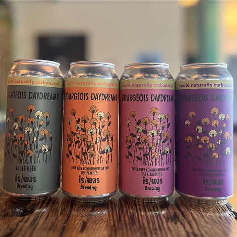 Is/Was Bourgeois Daydreams Fruited Mixed 4-pack