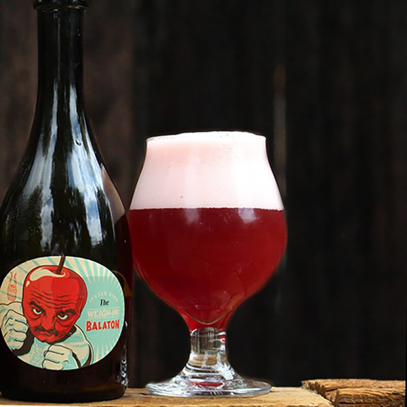 Jester King The Weigh In: Balaton 500ml - The Open Bottle